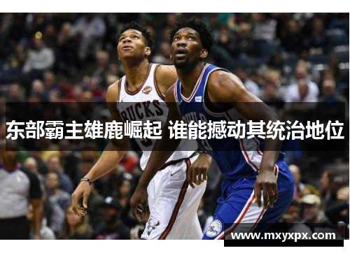 东部霸主雄鹿崛起 谁能撼动其统治地位 东部霸主雄鹿崛起 谁能撼动其统治地位