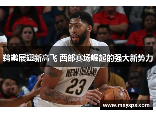 鹈鹕展翅新高飞 西部赛场崛起的强大新势力