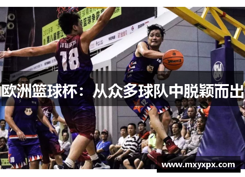欧洲篮球杯：从众多球队中脱颖而出