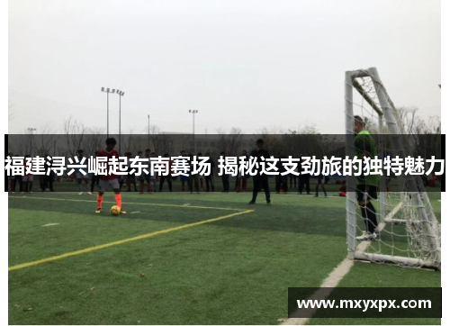 福建浔兴崛起东南赛场 揭秘这支劲旅的独特魅力
